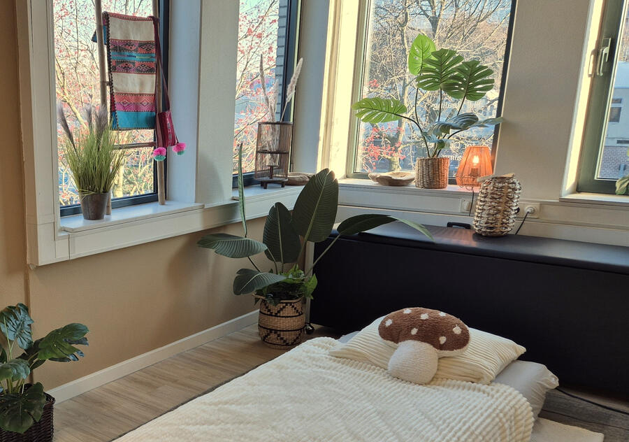 Private psilocybin session in Amsterdam Affordable Private psilocybin session in Amsterdam