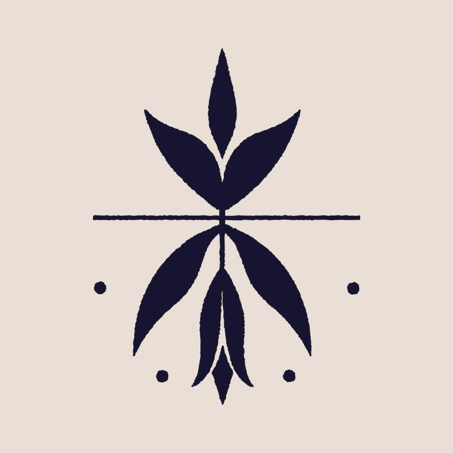 Private psilocybin session in Amsterdam Affordable Private psilocybin session in Amsterdam